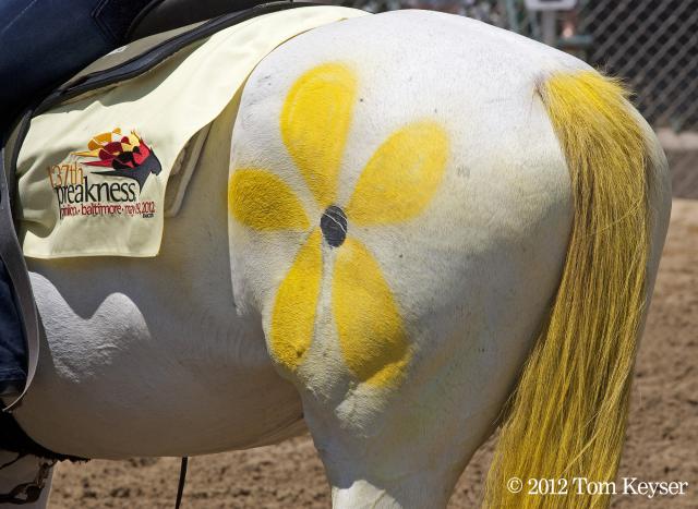 Preakness painted horse Preakness painted horse